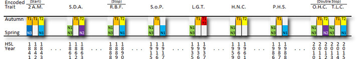 A detailed chart displaying encoded traits across various categories, marked with columns labeled such as S.A.M., S.D.A, and others. Each column contains blocks representing data values for attributes labeled 'Autumn', 'Spring', 'H.S.I', and 'Year' with unique sequences of numbers. Colors such as yellow, blue, red, and green are used to visually distinguish different data sets within the chart.