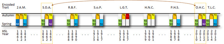 A detailed graphical chart with various segments labeled from left to right as 2 A.M., S.D.A., R.B.F., S.o.P., L.G.T., H.N.C., P.H.S., O.H.C., and T.L.C. Each segment includes multiple columns with seasonal markers such as 'Autumn' and 'Spring' on top, and rows of numbers beneath. Color coding is used within columns, employing yellow, blue, red, and black to represent different data points.