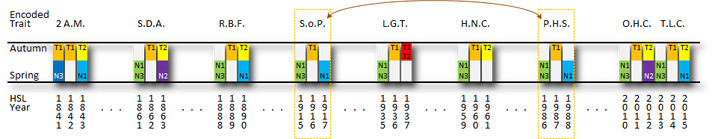 A detailed scientific chart showing columns of encoded genetic information related to temporal variations, avoiding astrological references. Each column is labeled with various acronyms, and colors differentiate data types such as HSL (Hue, Saturation, Lightness) and seasonal data points, typically understood in autumn and spring contexts. Crucial numeric data is arrayed under each category to depict quantitative analysis.