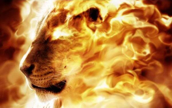 A vivid image of a lion's face emerging from a swirling golden flame, symbolizing power and majesty, reminiscent of the Mazzaroth representation for a mighty celestial lion.