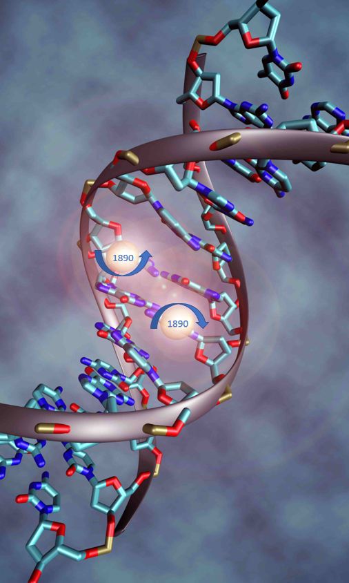 Back to 1890 Illustration of a DNA double helix model with highlighted base pairs and molecular structures. A circular, glowing highlight with the number "1890" emphasizes a specific segment of the DNA strand.