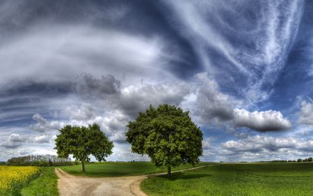 A panoramic view of a serene countryside landscape featuring expansive green fields under a dramatic sky with streaming clouds. Two prominent trees stand near a winding dirt path, suggesting the unity of earthly creation and the celestial expanse.