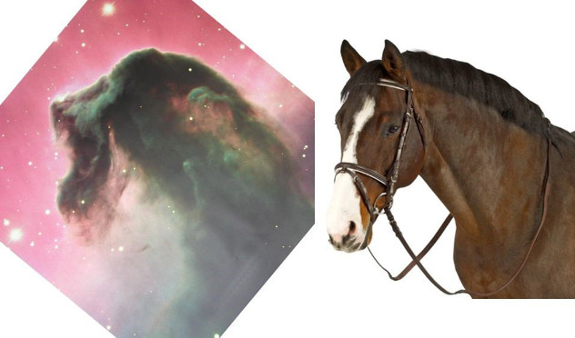 Composite image featuring a nebula photograph with colors of pink and green depicting a formation similar to a horse's head, positioned next to a photographic portrait of a brown horse with a white blaze and dark brown eyes, wearing a bridle.