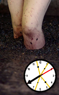 A pair of legs, dirt-stained and marked with minor abrasions, positioned above a clock displaying nearly three o'clock, set on a gritty surface.