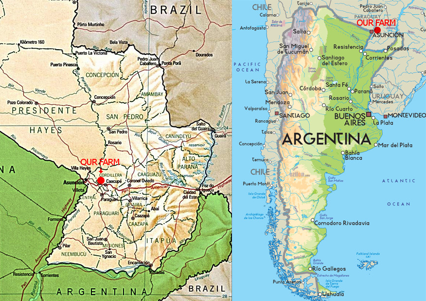 A split image showing two maps; on the left is a detailed map of Paraguay with a red marker labeled "OUR FARM" near Asunción, highlighting various cities and geographical features. On the right is a map of Argentina, showing its provinces, major cities, and terrain variations with labels and the same red marker "OUR FARM" near Asunción for relative location.