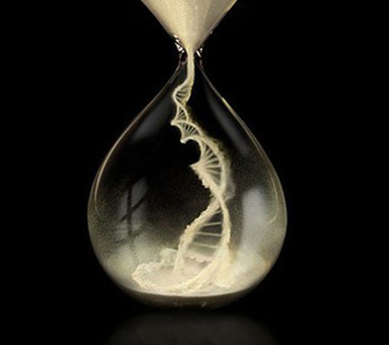 An artistic representation featuring a DNA helix swirling inside an hourglass against a dark background, symbolizing the passage of time and the foundational role of genetics in life.