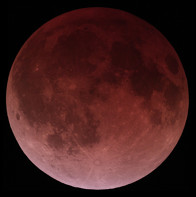 A vivid image of a lunar eclipse showcasing the moon bathed in a deep red hue against a dark background.
