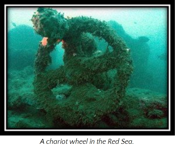 Underwater photograph showing an ancient chariot wheel covered in marine growth, resting on the seabed of the Red Sea.