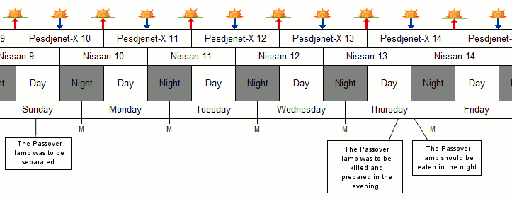 A detailed chart representing a sequence of days labeled from 'Nissan 9' to 'Nissan 14' with corresponding 'Day' and 'Night' segments. Each column features symbols like a star and crescent moon denoting night, and a sun for day. Notes on specific days include preparations and rituals related to the Passover lamb, highlighted on days labeled Tuesday and Friday.