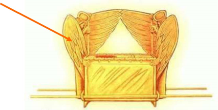 Illustration of the Ark of the Covenant, featuring two cherubim with outstretched wings facing each other over a golden chest, set against a plain background.