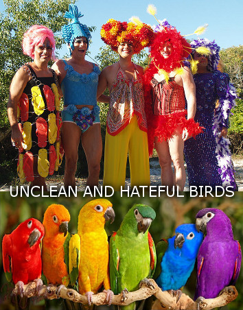 A vibrant image split into two sections. The upper half shows five individuals at an outdoor event, dressed in vivid, colorful costumes with feathers and bright wigs, resembling a playful gathering or a costume party. The lower half of the image depicts a row of six parrots, each with feathers in a distinct and rich color, perched on a wooden railing against a natural green background.