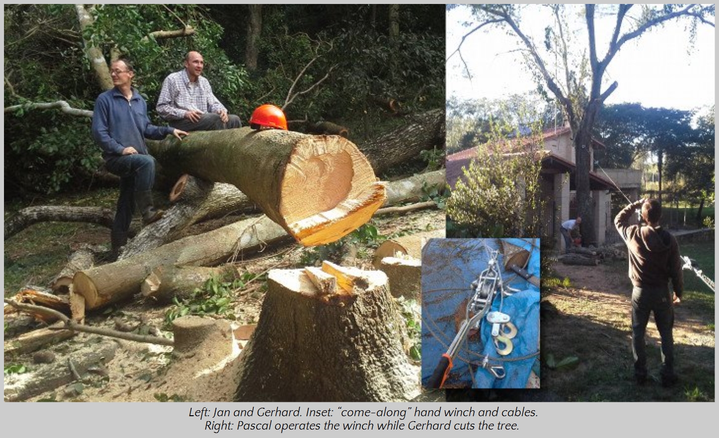 Photo showing three men engaged in outdoor activity; two are sitting on a freshly cut log, while a third operates a winch at a tree felling site. The scene includes chopped wood, branches, and forestry tools. An inset image displays a close-up of a hand winch and cables used in logging.