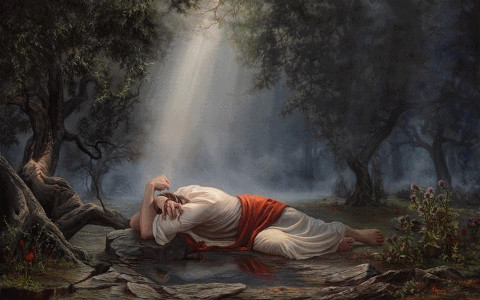 A serene painting of a woman in historical attire resting on a rock in a tranquil forest. A shaft of light beams down through the misty trees above her, casting a celestial glow over the scene. This artwork evokes themes of peace and contemplation under the canopy of creation.