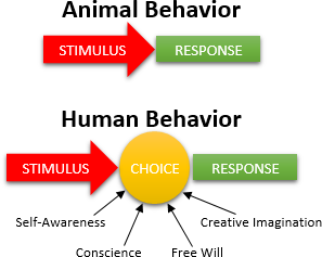 Diagram comparing animal and human behavior. At the top, labeled "Animal Behavior," a simple interaction is shown with a red arrow labeled "STIMULUS" leading to a green arrow labeled "RESPONSE." Below, labeled "Human Behavior," a more complex interaction occurs, with a yellow circle labeled "CHOICE" situated between similar red and green arrows. The "CHOICE" circle is linked by smaller arrows to terms around it: "Self-Awareness," "Creative Imagination," "Conscience," and "Free Will."