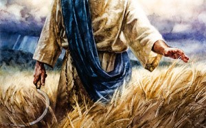 A detailed painting depicting a person in historical robes walking through a golden wheat field, gently touching the grain with one hand.