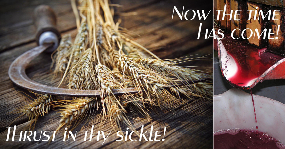 A rustic image split into two sections. On the left, a weathered sickle lies next to a bundle of golden wheat on a wooden surface with the phrase "Thrust in thy sickle!" overlaid. On the right, a vibrant red liquid pours from a jug into a bowl with the overlay text "Now the time has come!"
