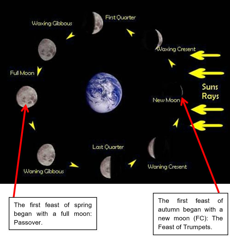 An educational diagram depicting various phases of the moon around Earth, including full moon, first quarter, last quarter, and new moon, annotated with arrows indicating the direction of sunlight. The diagram also correlates specific lunar phases with the timing of biblical feasts, such as Passover during a full moon and the Feast of Trumpets at a new moon.