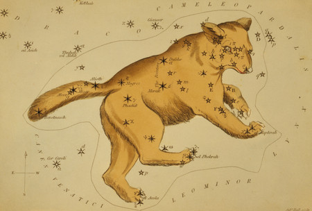 An illustration of a large lion with stars marking its body shape, superimposed on a parchment background featuring scattered smaller stars. Nearby constellations are labeled in Latin.